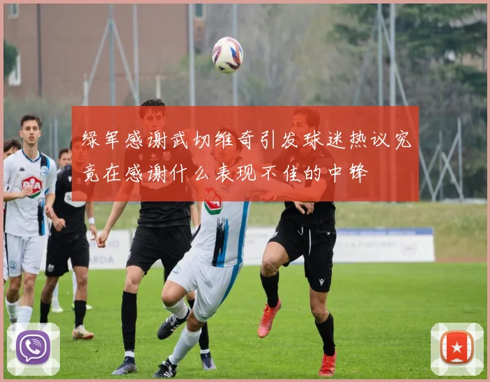 绿军感谢武切维奇引发球迷热议究竟在感谢什么表现不佳的中锋
